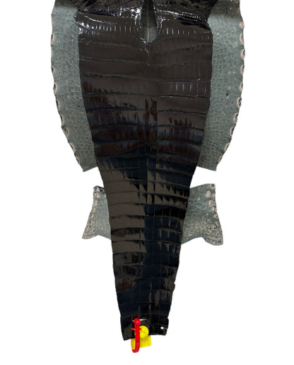 32 cm Grade 1/2 Black Glazed Wild American Alligator Leather - Tag: ITCC-0539885
