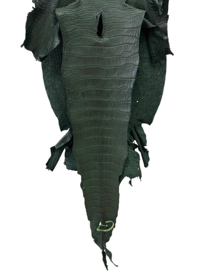 44 cm Grade 2/3 Forest Green Matte Wild American Alligator Leather - Tag: LA23-0013684