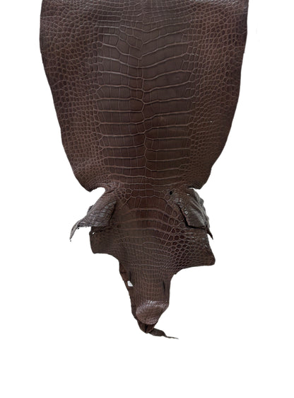 39 cm Grade 3/4 Chocolate Matte Wild American Alligator Leather - Tag: LA23-0003000