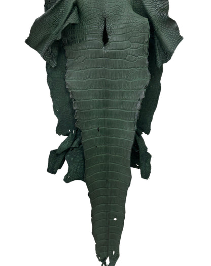 35 cm Grade 2/3 Forest Green Matte Wild American Alligator Leather - Tag: LA23-0002049