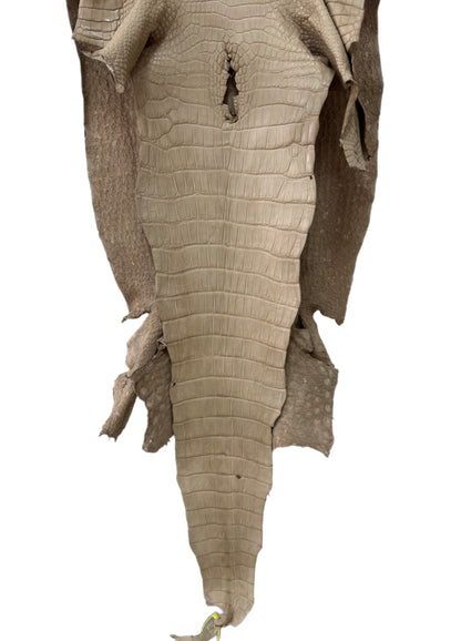51 cm Grade 2/3 Oatmeal Matte Wild American Alligator Leather - Tag: LA25-0012827