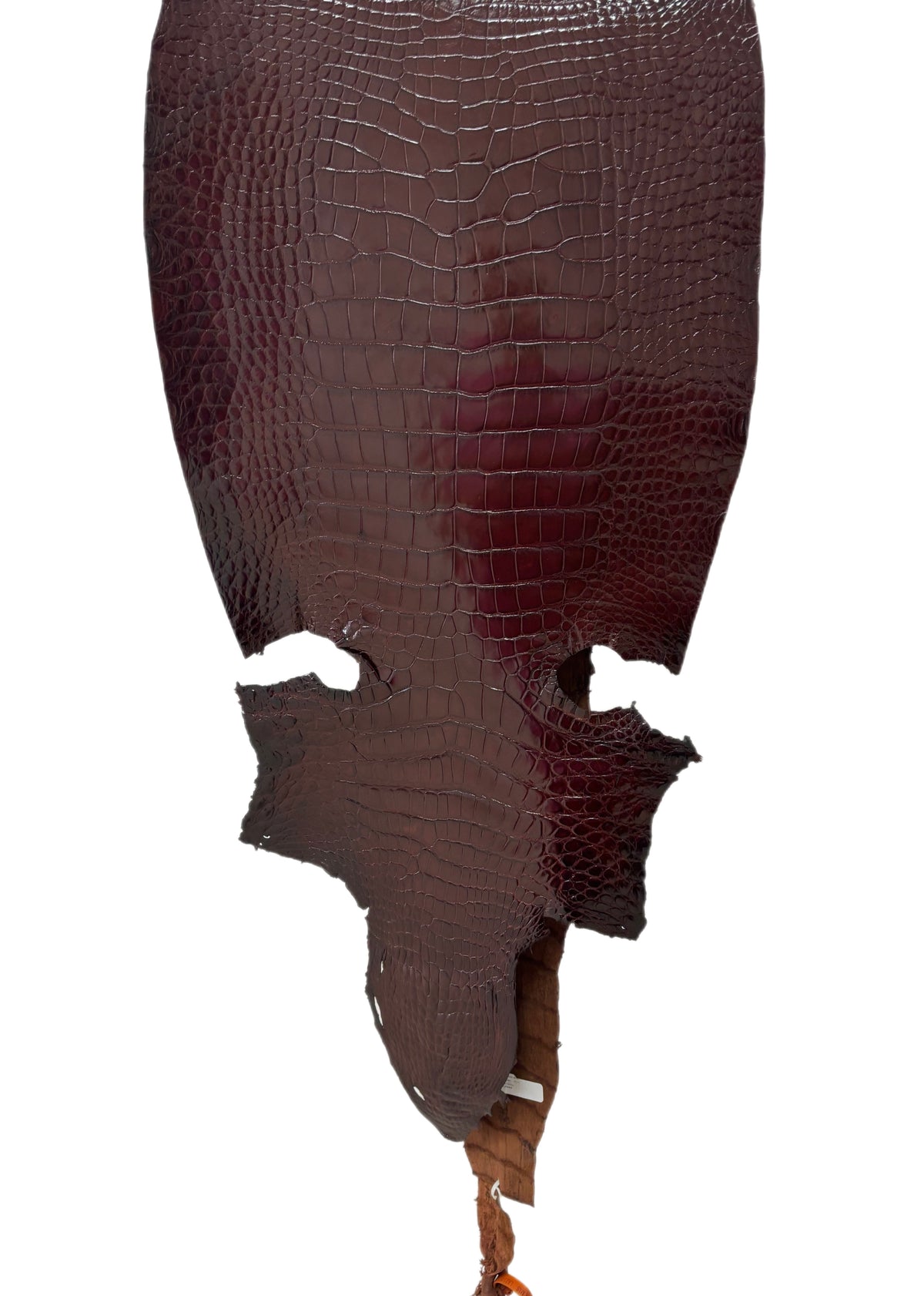 43 cm Grade 4/5 Bourbon Millennium Wild American Alligator Leather - Tag: LA23-0017142