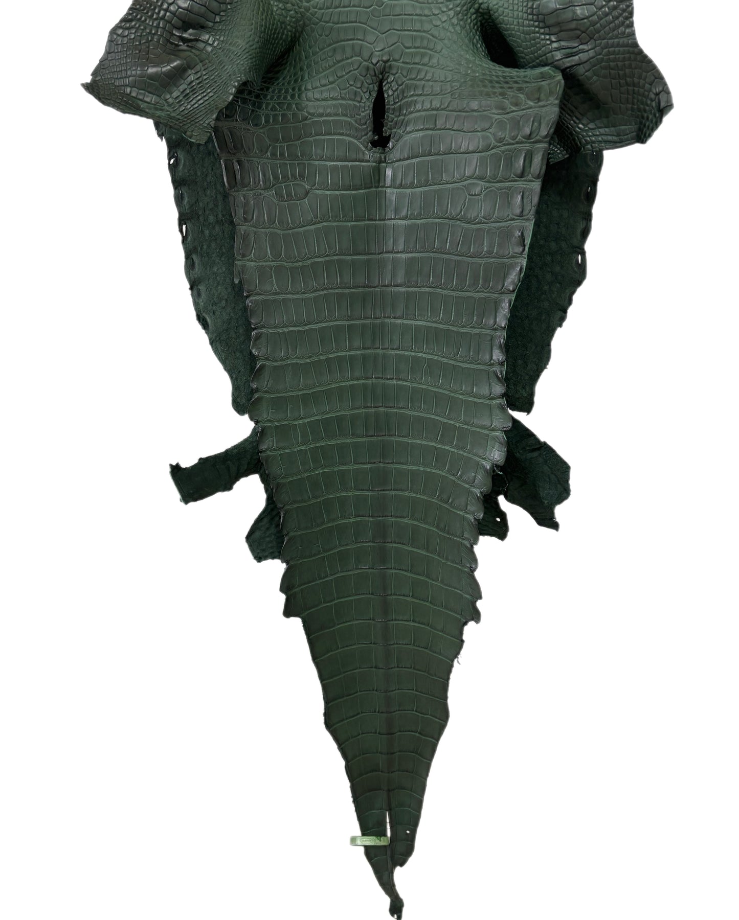 36 cm Grade 2/3 Forest Green Matte Farm-Raised American Alligator Leather - Tag: LA17-0274337