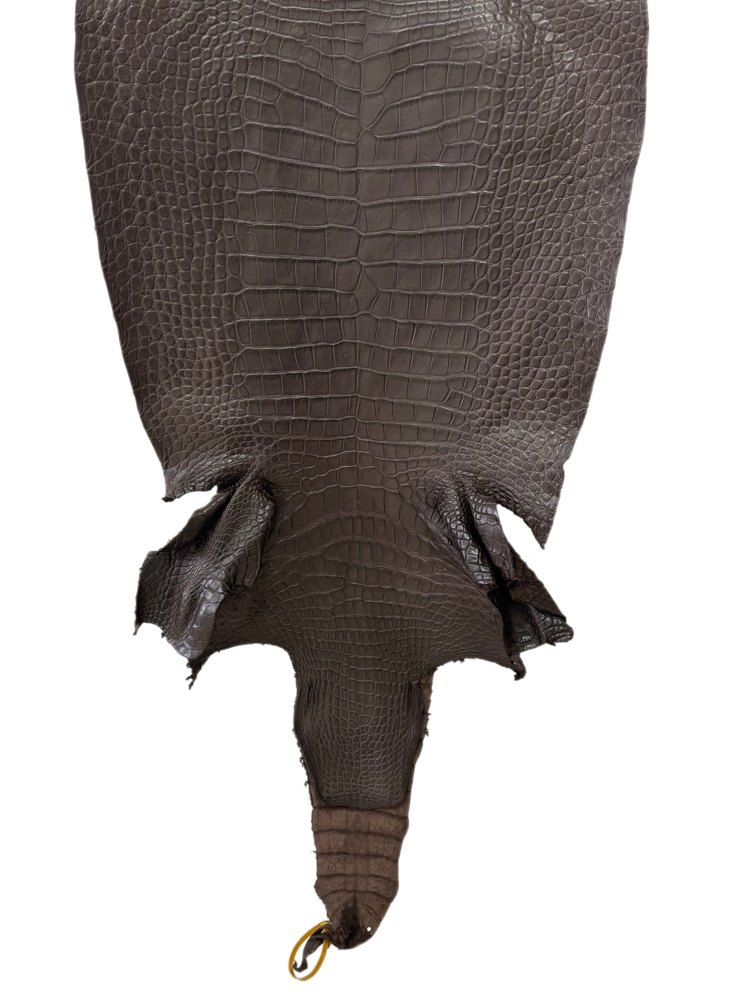 49 cm Grade 4/5 Kralle Brown Matte Wild American Alligator Leather - Tag: LA25-0008002
