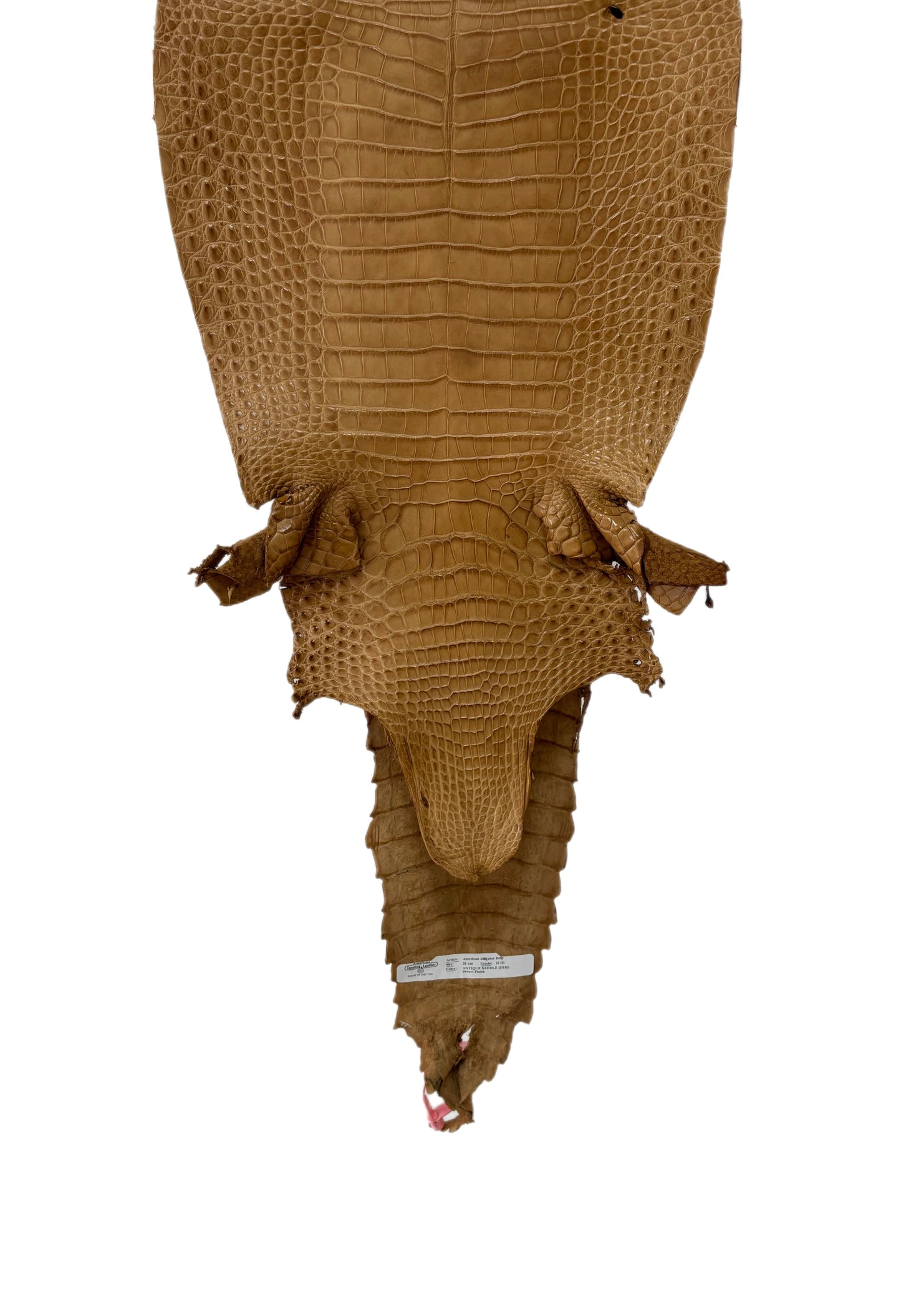 31 cm Grade 2/3 Antique Saddle Matte Farm-Raised American Alligator Leather - Tag: FL21-0024041