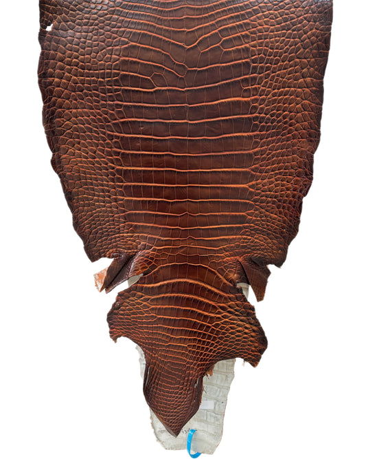40 cm Grade 1/2 Sienna Matte Wild American Alligator Leather - Tag: ESRE-0050838