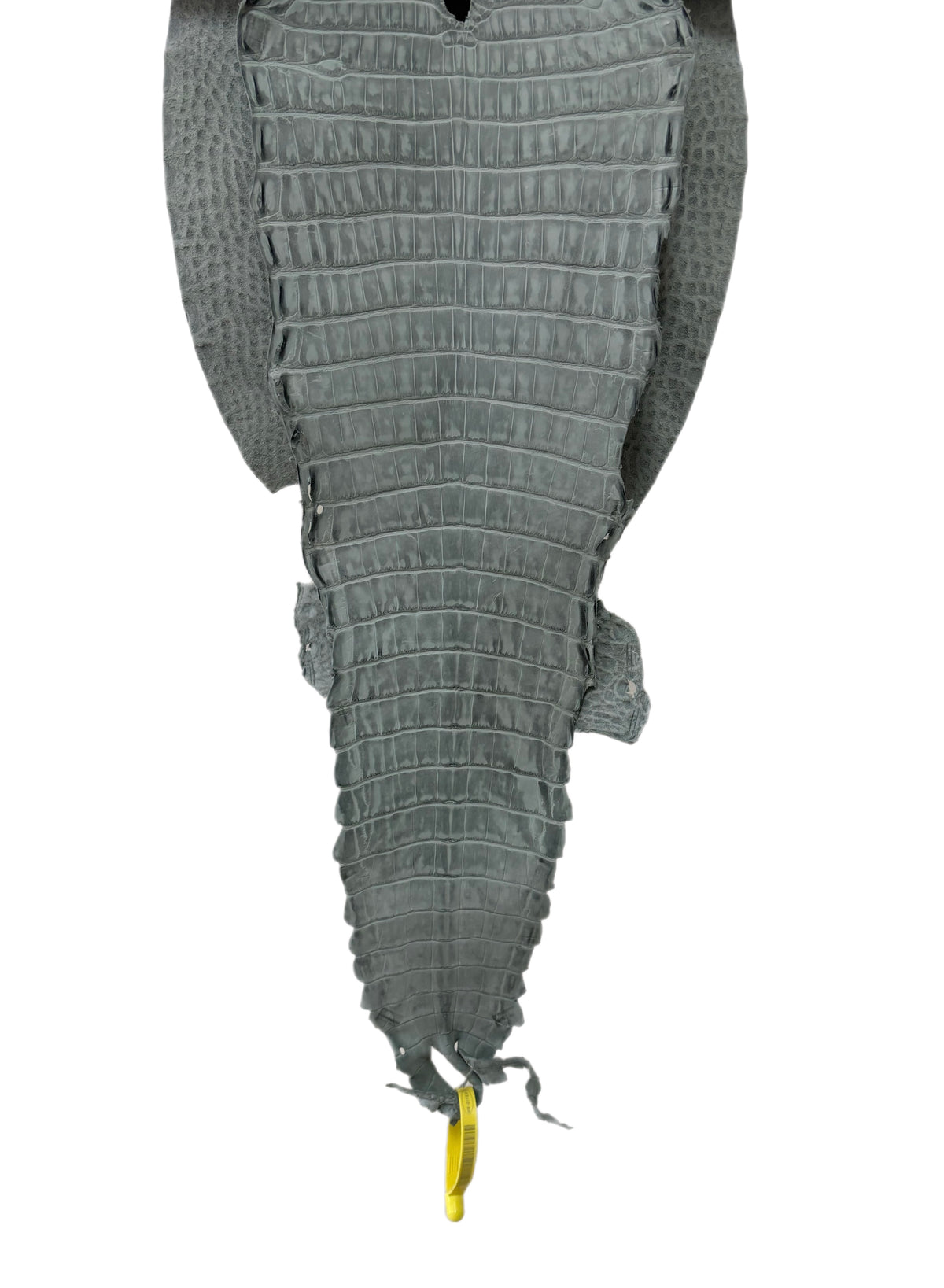 New Color and Finish! 27 cm Grade 1/2 Charcoal Grey Nubuck Farm-Raised American Alligator Leather - Tag: FL22-0030108