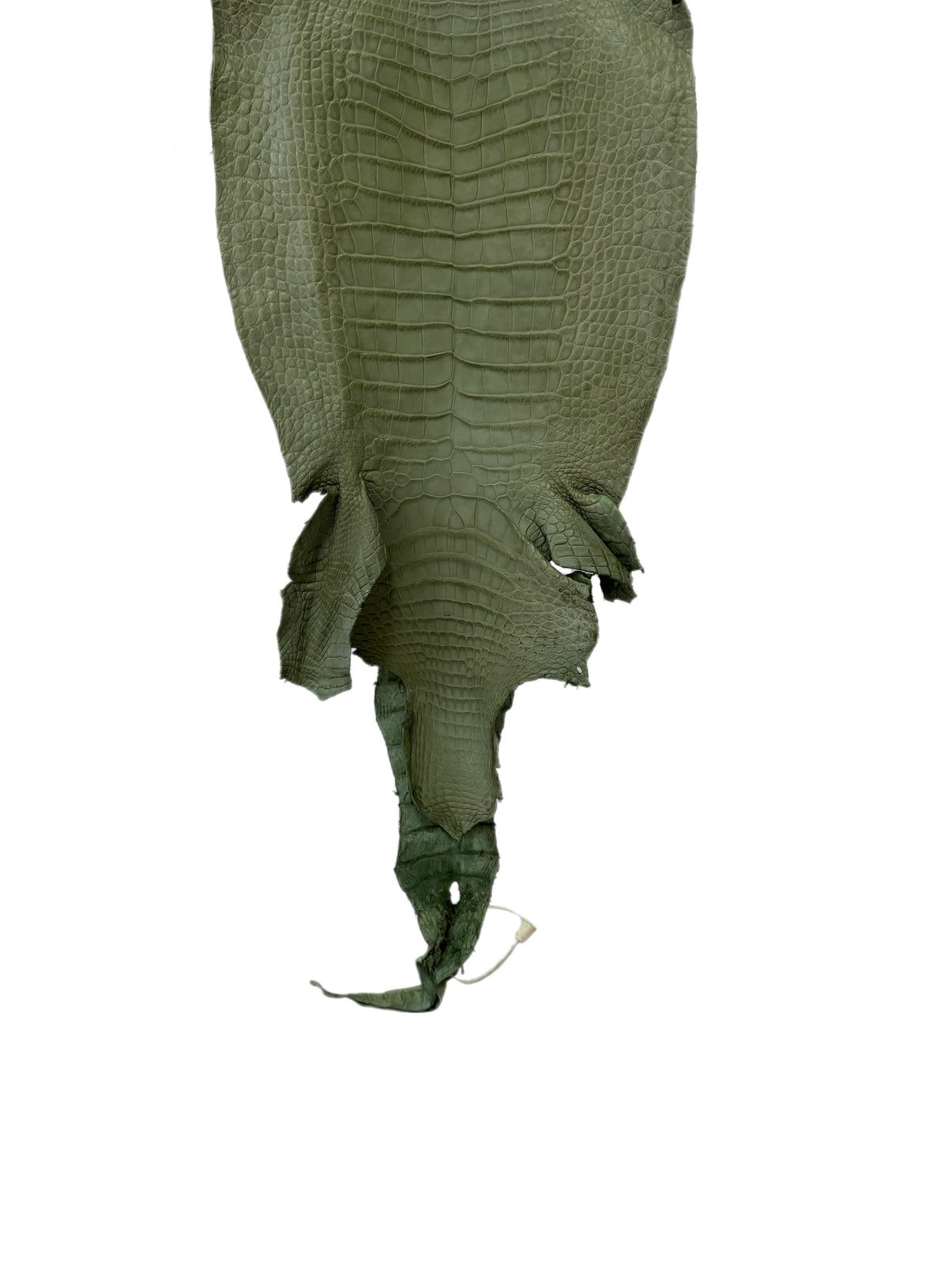New Color! 28 cm Grade 2/3 Sage Green Matte Wild American Alligator Leather - Tag: LA23-0024108