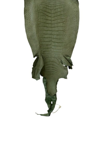 New Color! 28 cm Grade 2/3 Sage Green Matte Wild American Alligator Leather - Tag: LA23-0024108