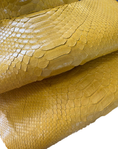 2.25 M Back Cut Canary Yellow Glazed Python