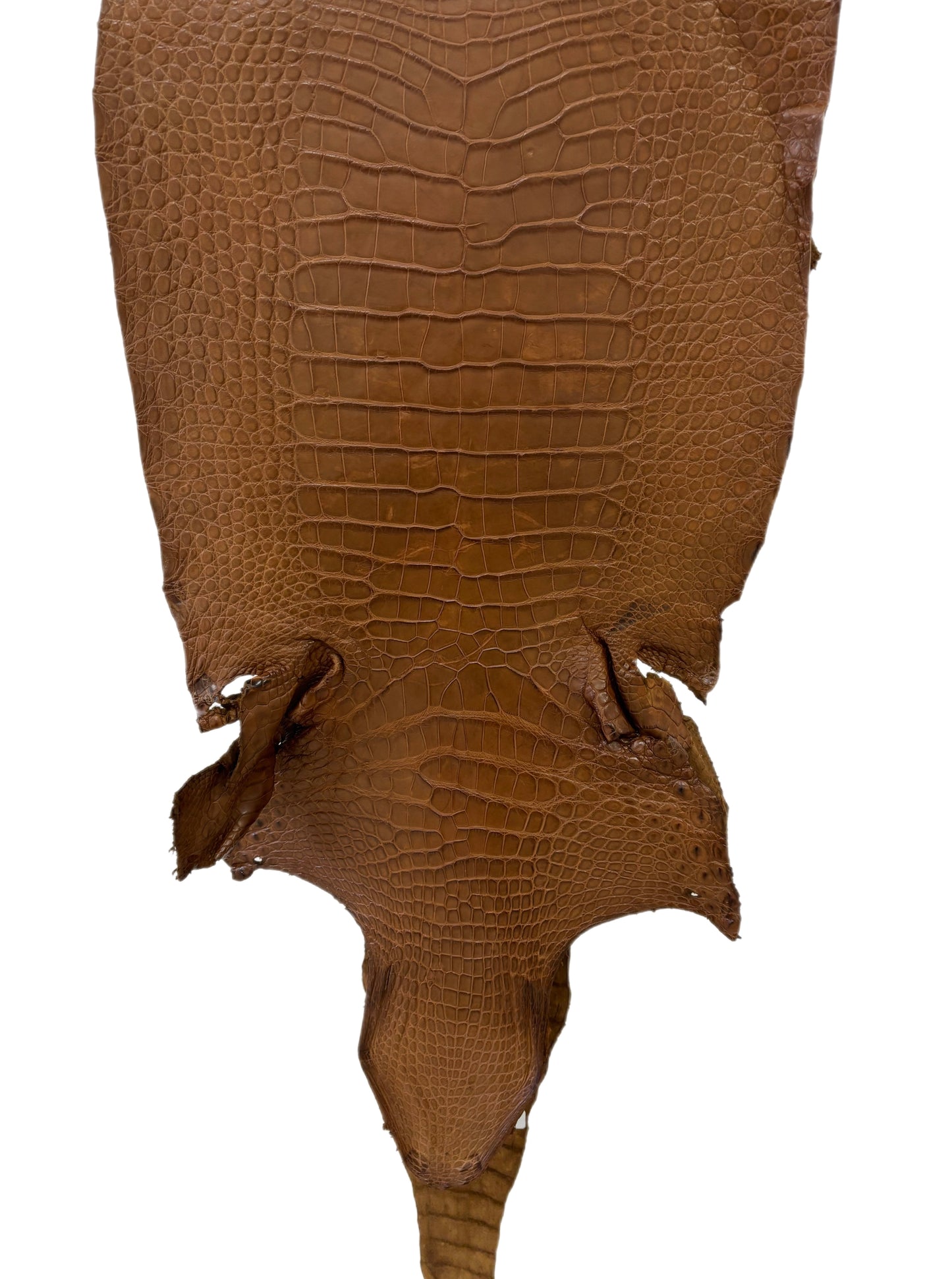 40 cm Grade 3/4 Kango Tabac Matte Wild American Alligator Leather - Tag: LA23-0051968