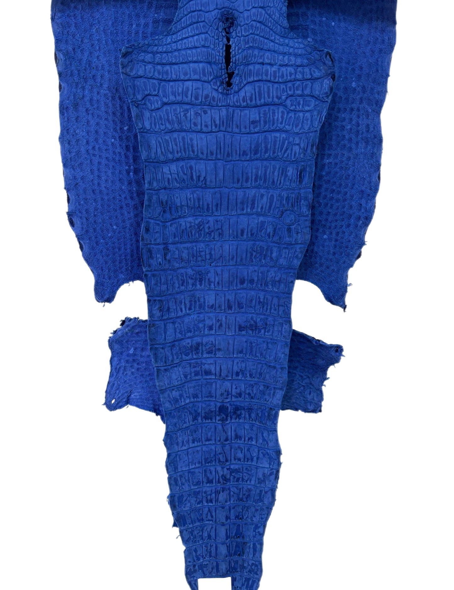 41 cm Grade 2/3 Cobalt Blue Nubuck Wild American Alligator Leather - Tag: LA22-0031230