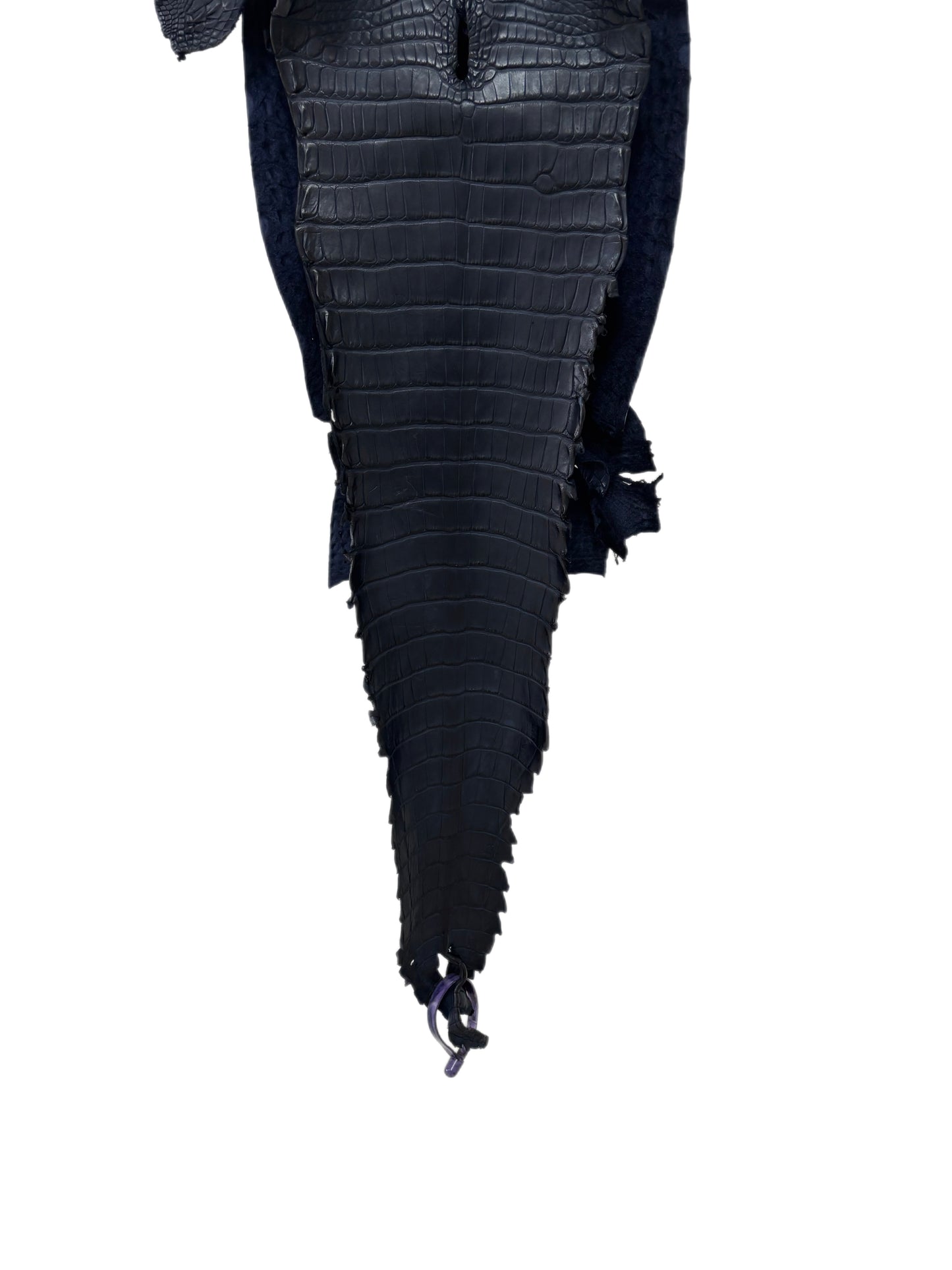 26 cm Grade 2/3 Navy Blue Matte Farm-Raised American Alligator Leather - Tag: FL21-0024396