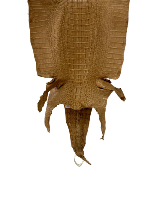 31 cm Grade 1/2 Antique Saddle Matte Farm-Raised American Alligator Hornback Leather - Tag: LA23-0377111