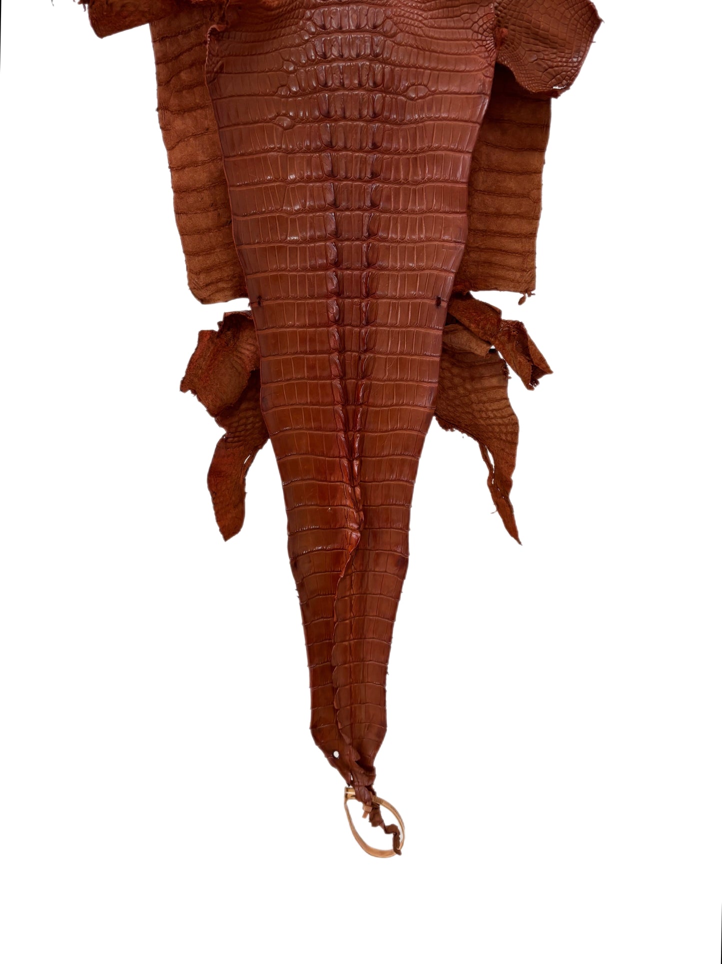 33 cm Grade 1/2 Cognac Matte Farm-Raised American Alligator Hornback Leather - Tag: LA23-0377001
