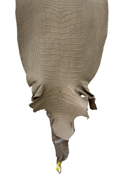 43 cm Grade 3/4 Oatmeal Matte Wild American Alligator Leather - Tag: LA25-0009826