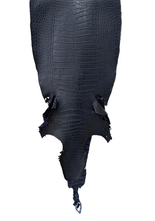 36 cm Grade 3/4 Navy Blue Matte Wild American Alligator Leather - Tag: TX23-0012292