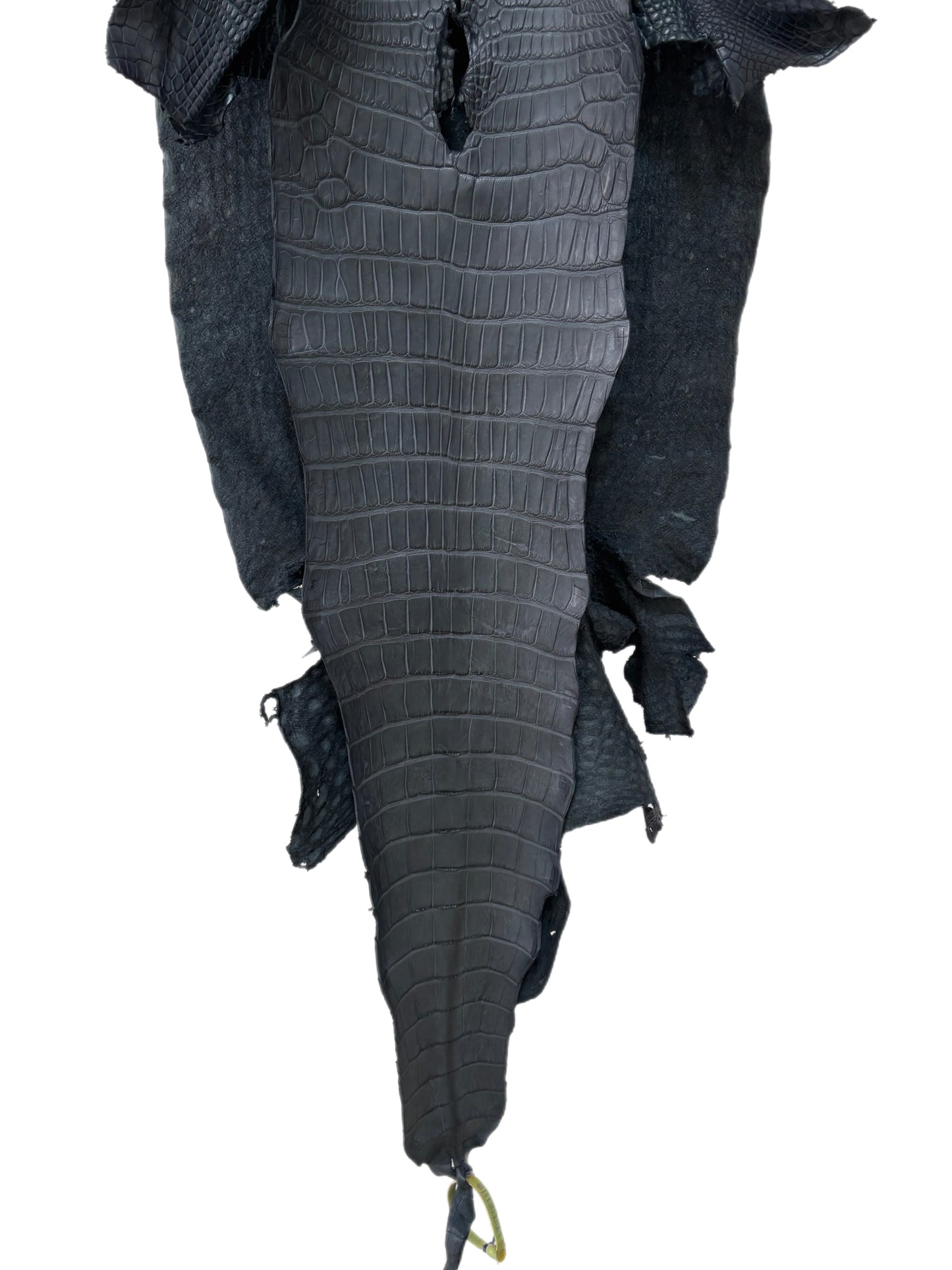 43 cm Grade 2/3 Blue Jean Matte Wild American Alligator Leather - Tag: LA25-0009883