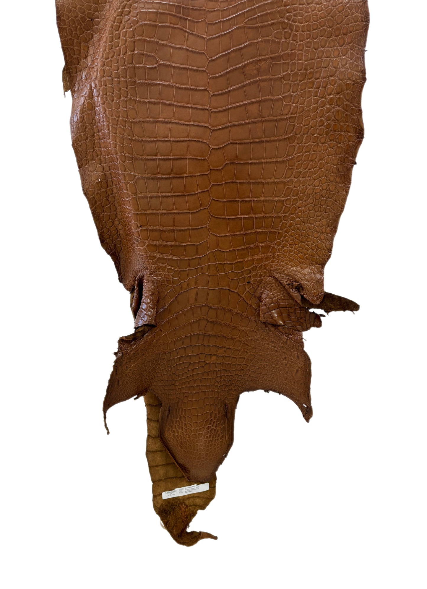 45 cm Grade 3/4 Kango Tabac Matte Wild American Alligator Leather - Tag: LA23-0034762