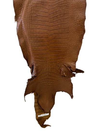 45 cm Grade 3/4 Kango Tabac Matte Wild American Alligator Leather - Tag: LA23-0034762