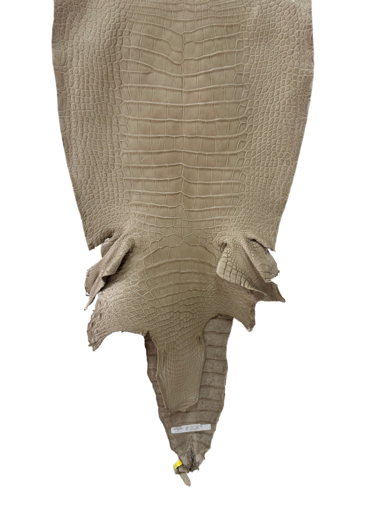 47 cm Grade 2/3 Oatmeal Matte Wild American Alligator Leather - Tag: LA25-0037250