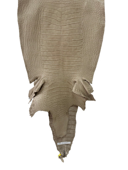 47 cm Grade 2/3 Oatmeal Matte Wild American Alligator Leather - Tag: LA25-0037250