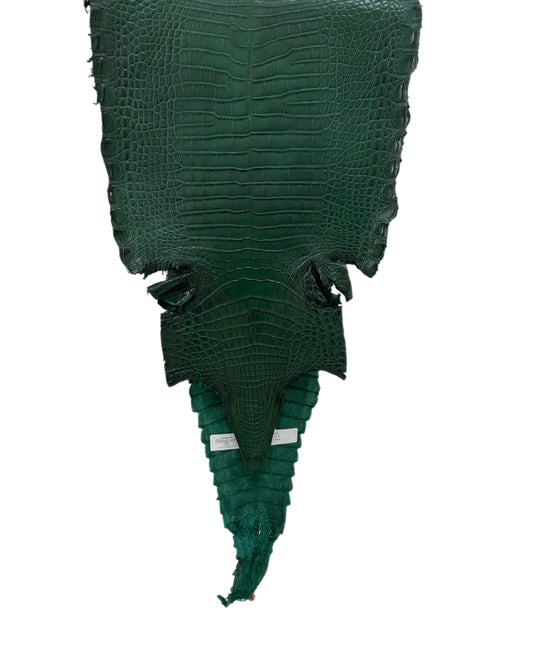 25 cm Grade 3/4 Forest Green Matte Farm Raised American Alligator Leather - Tag: FL21-0024868
