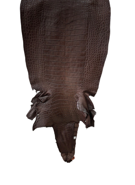 42 cm Grade 3/4 Chocolate Matte Wild American Alligator Leather - Tag: LA24-0039667