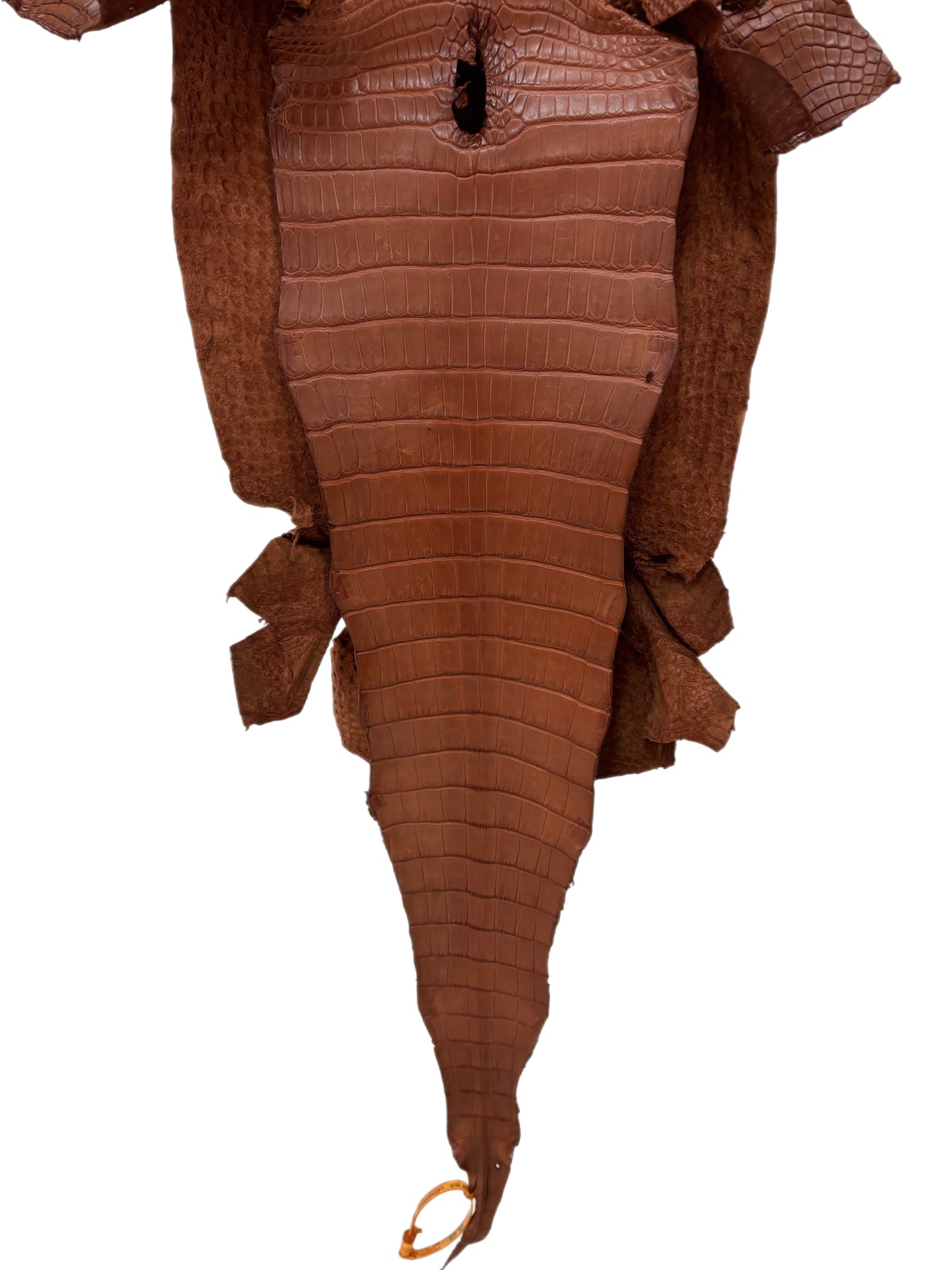 36 cm Grade 2/3 Rustic Cognac Matte Wild American Alligator Leather - Tag: LA23-0022818