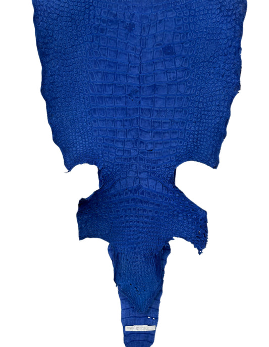 48 cm Grade 3/4 Cobalt Blue Nubuck Wild American Alligator Leather - Tag: LA22-0004564