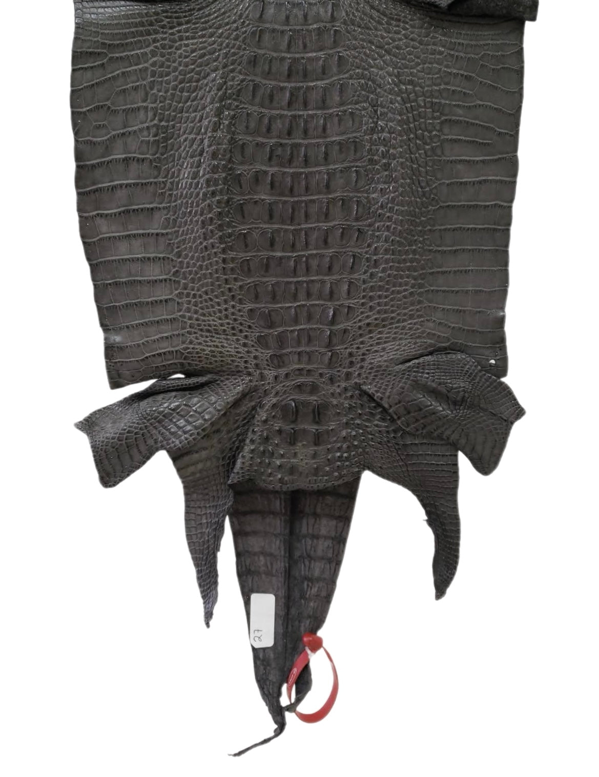 27 cm Grade 2/3 Charcoal Grey Matte Farm-Raised American Alligator Hornback Leather - Tag: LA04-0238637