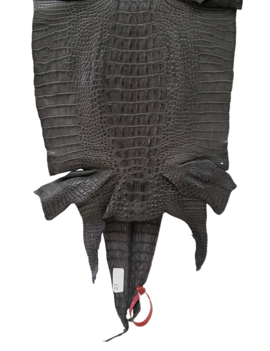 27 cm Grade 2/3 Charcoal Grey Matte Farm-Raised American Alligator Hornback Leather - Tag: LA04-0238637