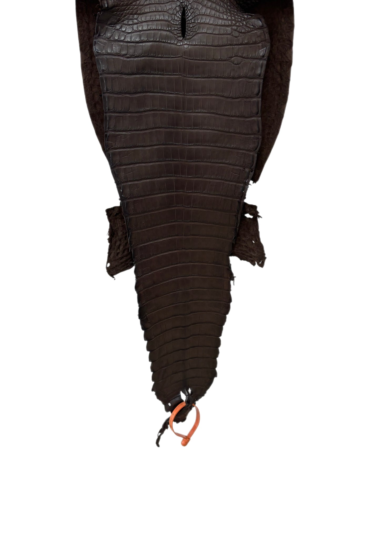 26 cm Grade 2/3 Chocolate Matte Farm-Raised American Alligator Leather - Tag: FL21-0024743