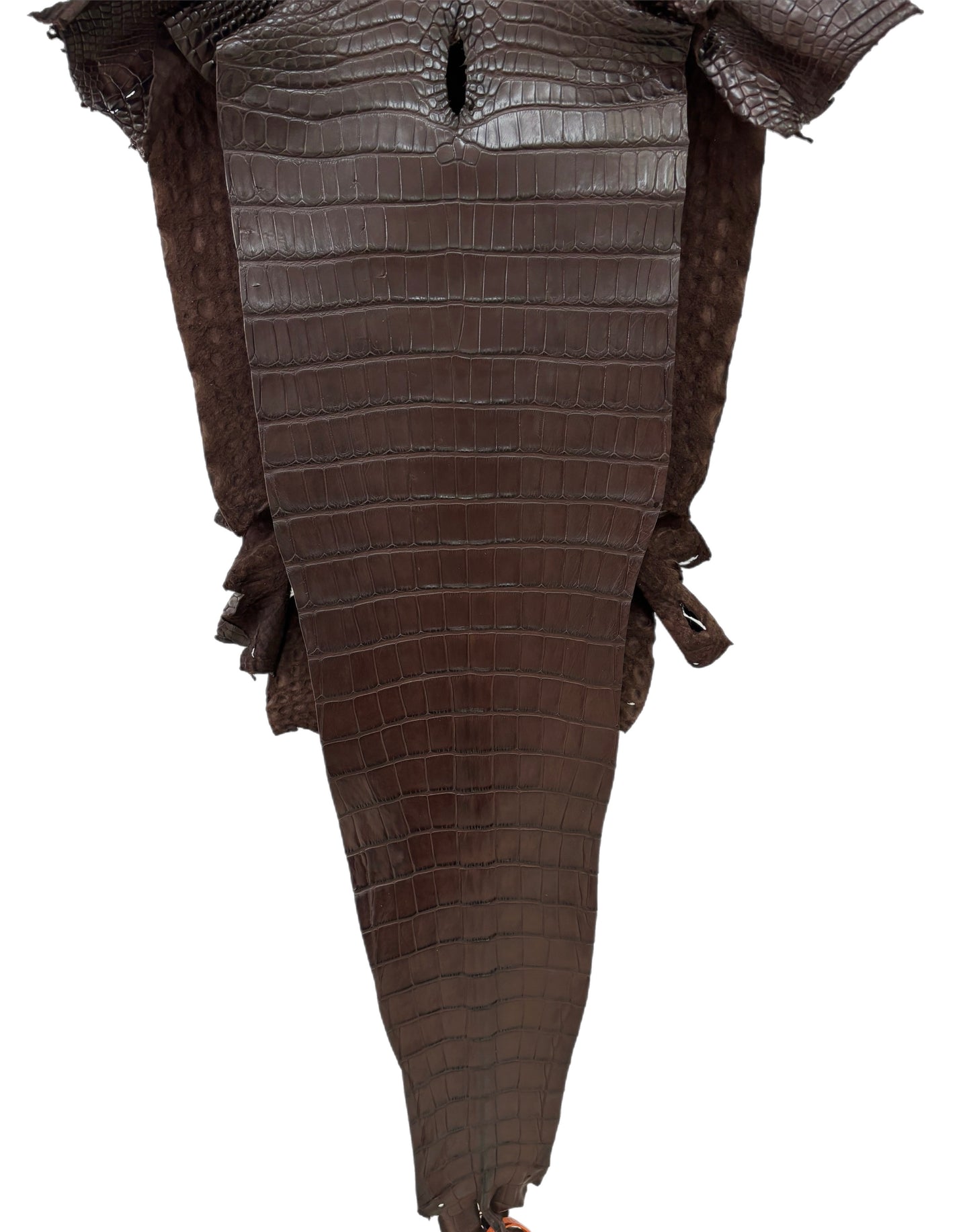 30 cm Grade 2/3 Chocolate Matte Farm Raised American Alligator Leather - Tag: FL21-0024250