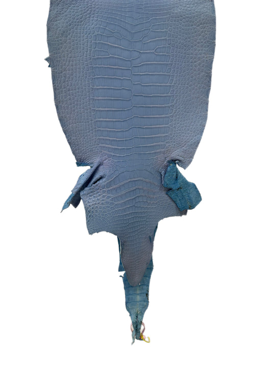 33 cm Grade 2/3 Carolina Blue Matte Wild American Alligator Leather - Tag: LA18-0033320
