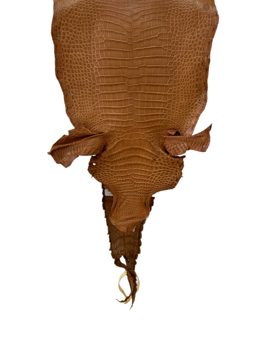 22 cm Grade 3/4 Almond Matte Wild American Alligator Leather - Tag: FL09-0058895