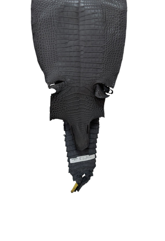 28 cm Grade 1/2 Serpentine Grey Matte Farm-Raised American Alligator Leather - Tag: FL22-0030354