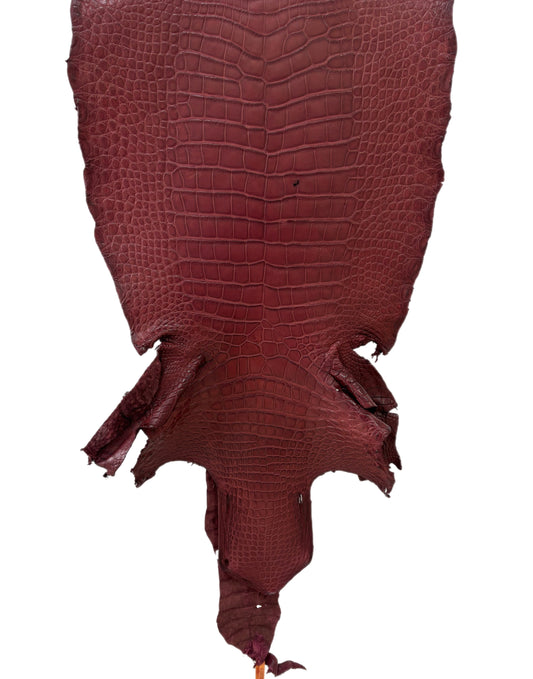 41 cm Grade 2/3 Bordeaux Matte Wild American Alligator Leather - Tag: LA22-0010877