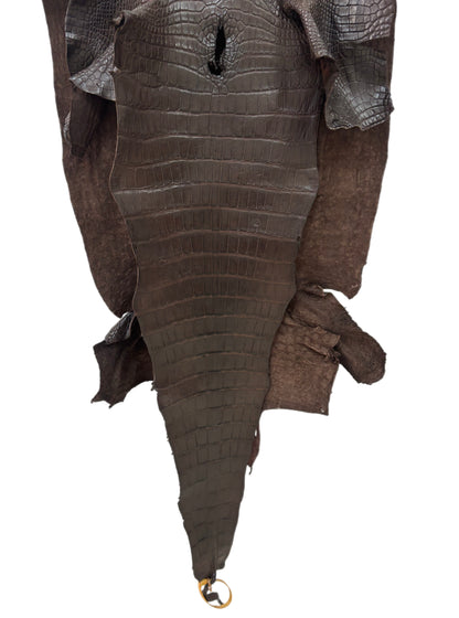 48 cm Grade 4/5 Chocolate Matte Wild American Alligator Leather - Tag: LA23-0051748