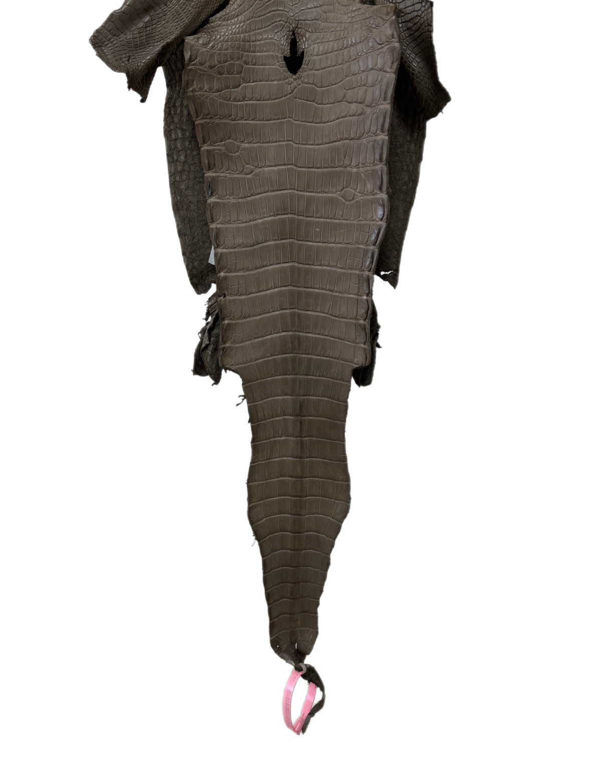 25 cm Grade 1/2 Etain Matte Farm-Raised American Alligator Leather - Tag: LA24-0228849
