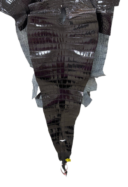 47 cm Grade 2/3 Black Glazed Farm-Raised American Alligator Leather - Tag: FL14-0003604