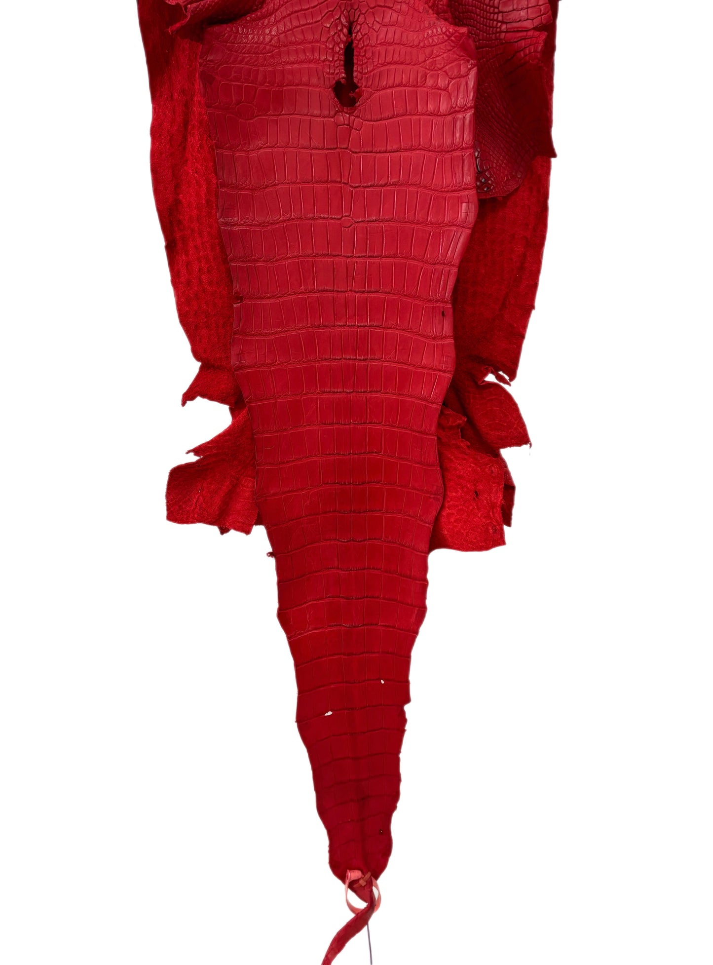 39 cm Grade 2/3 Candy Apple Red Matte Wild American Alligator Leather - Tag: LA24-0039963