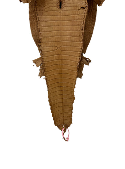 31 cm Grade 2/3 Antique Saddle Matte Farm-Raised American Alligator Leather - Tag: FL21-0024041