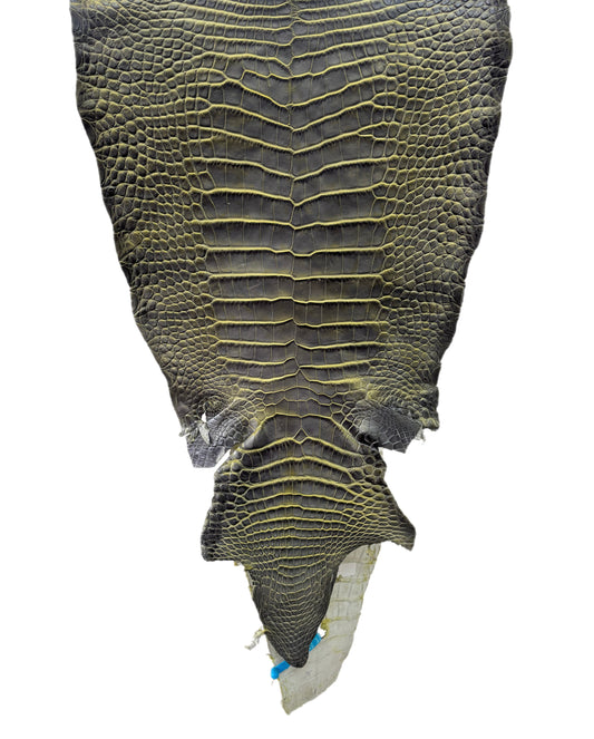 36 cm Grade 2/3 Voltage Matte Wild American Alligator Leather - Tag: ESRE-0033827