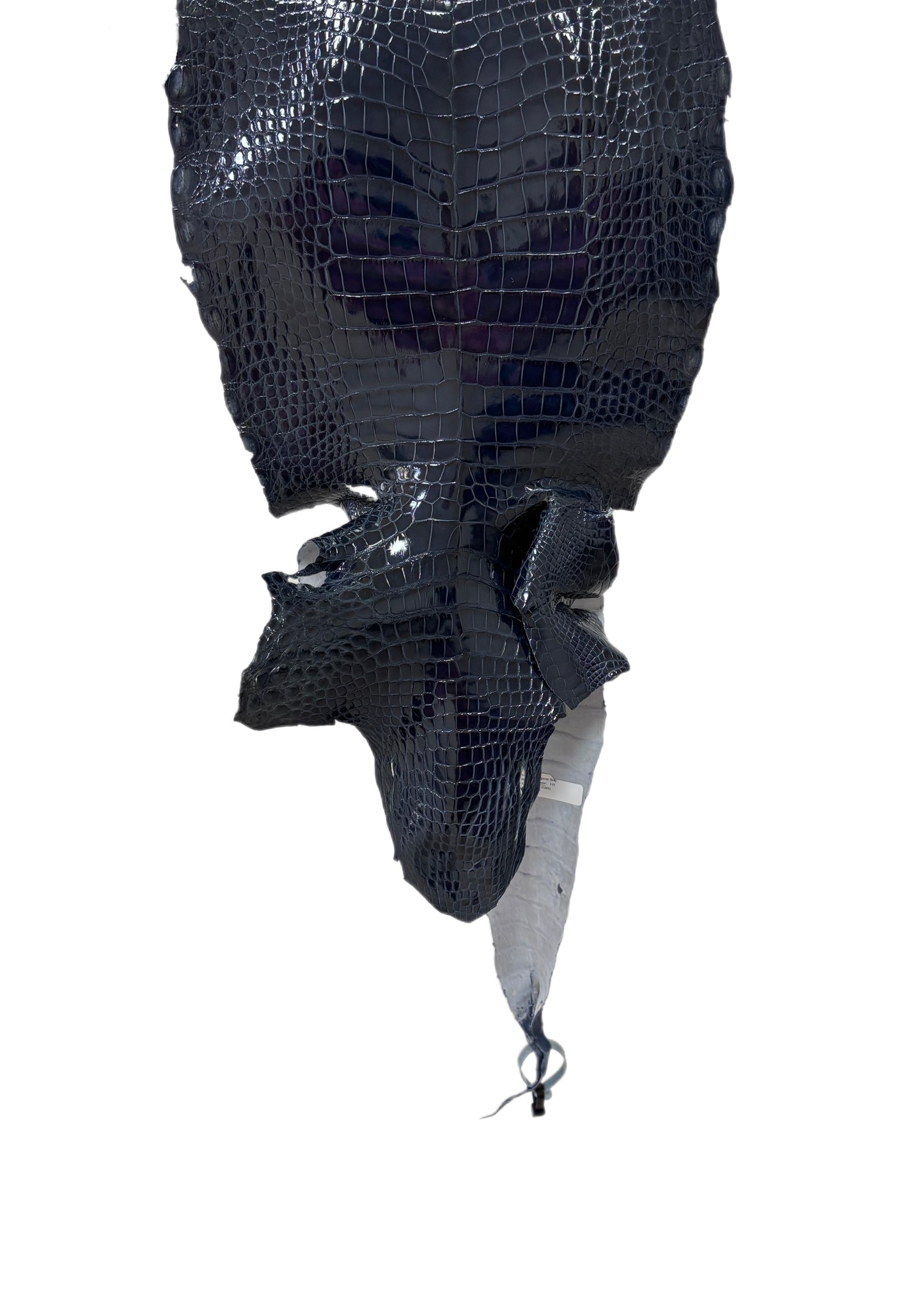 33 cm Grade 1/2 Navy Blue Glazed Wild American Alligator Leather - Tag: LA16-0010989