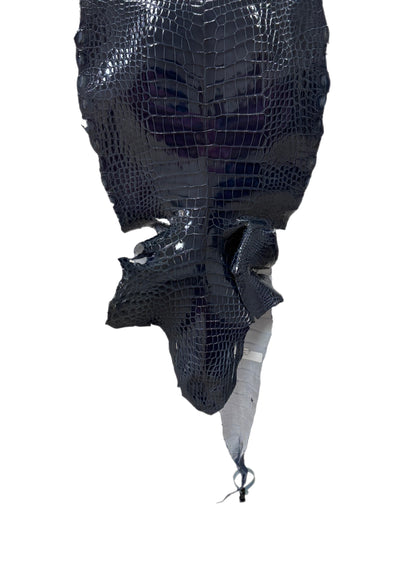 33 cm Grade 1/2 Navy Blue Glazed Wild American Alligator Leather - Tag: LA16-0010989