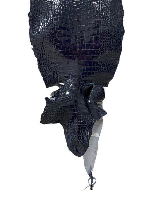 33 cm Grade 1/2 Navy Blue Glazed Wild American Alligator Leather - Tag: LA16-0010989