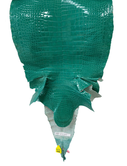 42 cm Grade 3/4 Tiffany Blue Glazed Farm Raised American Alligator Leather - Tag: FL14-0003668