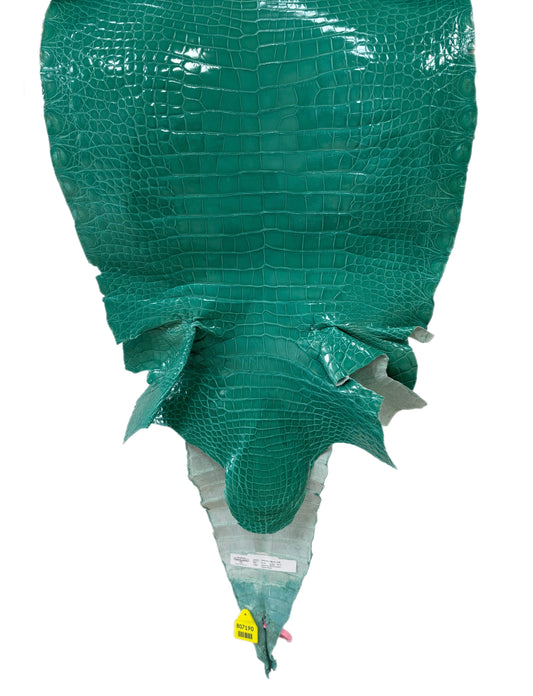 42 cm Grade 3/4 Tiffany Blue Glazed Farm Raised American Alligator Leather - Tag: FL14-0003668