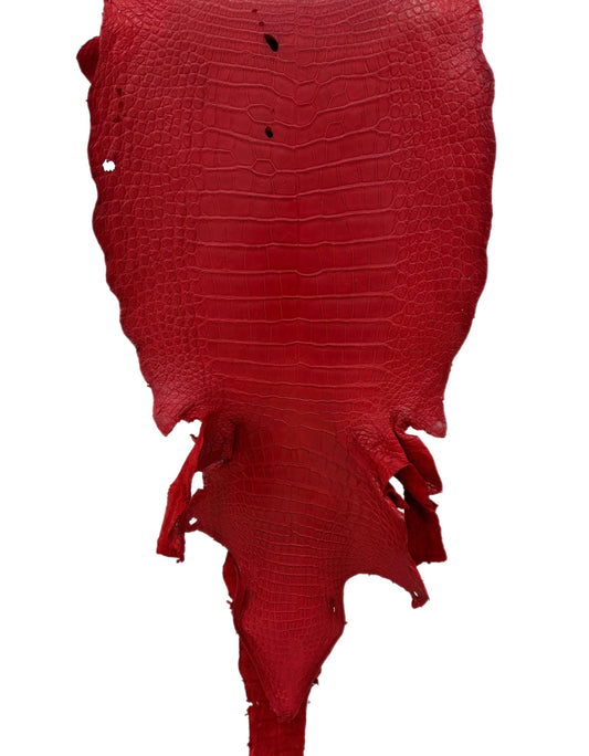 40 cm Grade 3/4 Candy Apple Red Matte Wild American Alligator Leather - Tag: LA23-0003662